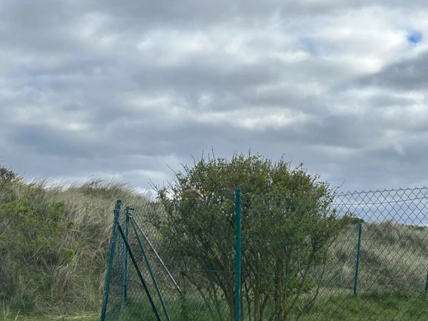Sportplatz Dünenkessel auf Juist.jpeg Sportplatz Dünenkessel auf Juist