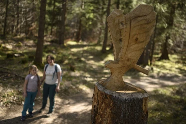 Auf dem Walderlebnispfad am Lautersee bei Mittenwald Familienshooting 2024