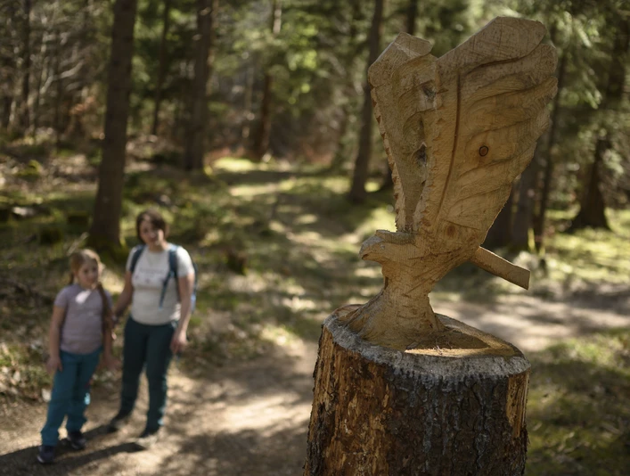 Auf dem Walderlebnispfad am Lautersee bei Mittenwald Familienshooting 2024