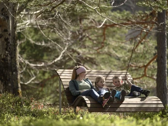 Auf dem Walderlebnispfad am Lautersee bei Mittenwald Familienshooting 2024