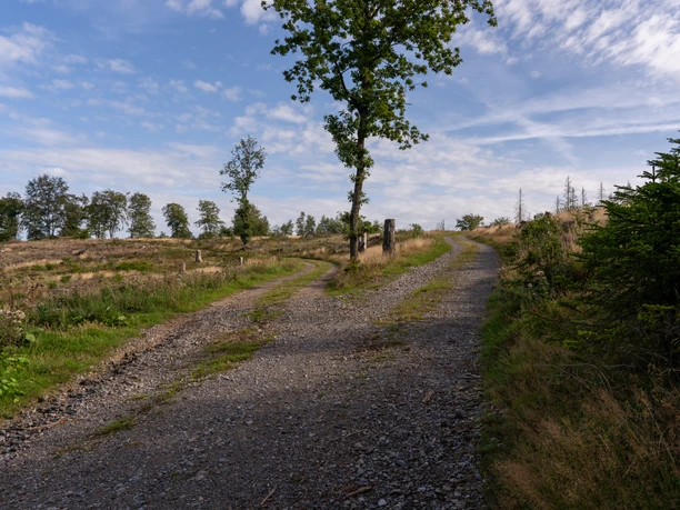 Rahrbach am Wolfhardt Rahrbach am Wolfhardt