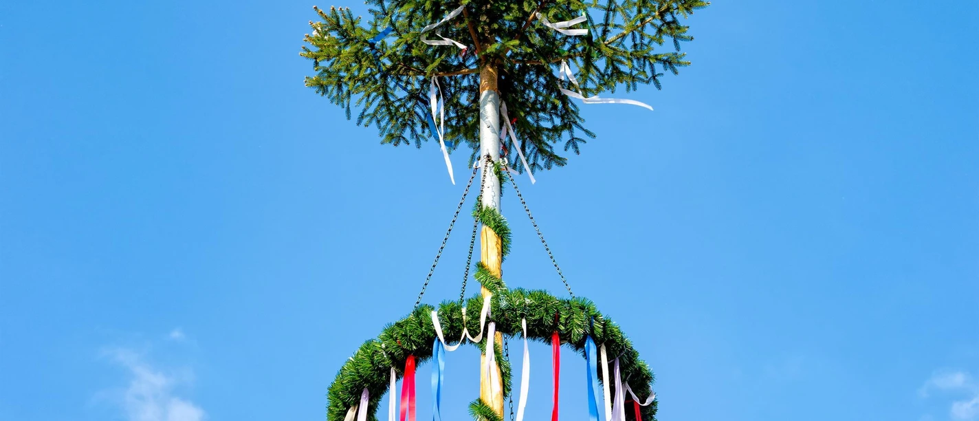 Maibaum