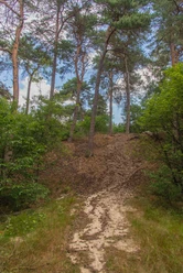 HAR022_Eierkullerberg_AnjaPoker_2.jpg