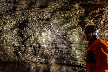 Aggertalhöhle Ein Höhlenforscher betrachtet gebannt die strukturierte Felswand in einer dunklen Höhlenkammer.
