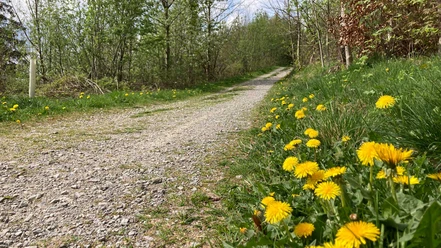 Wanderweg | Paderborner Land Wanderweg | Paderborner Land