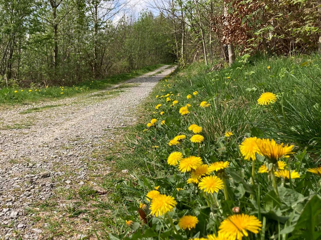Wanderweg | Paderborner Land Wanderweg | Paderborner Land