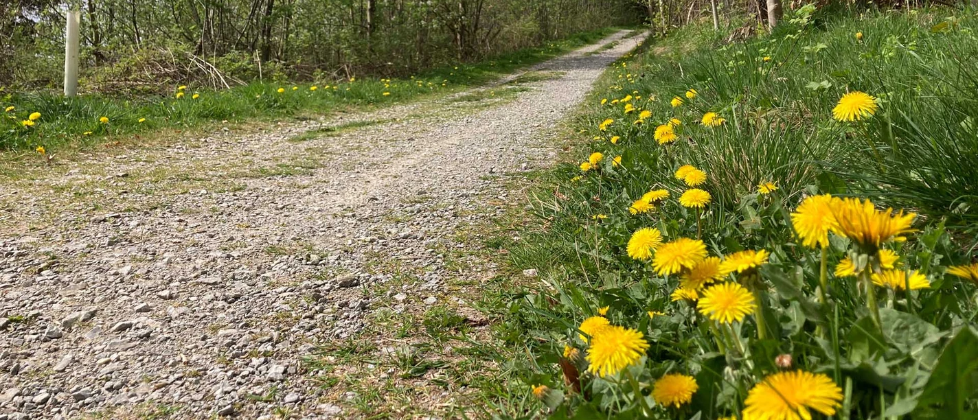 Wanderweg | Paderborner Land Wanderweg | Paderborner Land