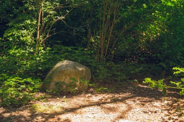 HAR026_heimliches_Denkmal_AnjaPoker_1.jpg