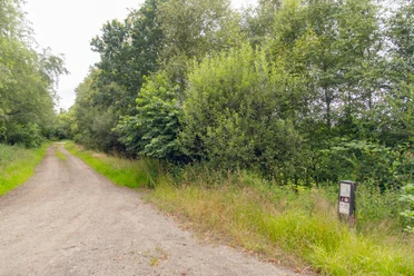 HAR035_Moorfunde_suedl_VersenerMoor_Anja_Poker_1.jpg Schmaler Sandweg führt am Versener Moor entlang, gesäumt von dichtem Grün und einem Hinweisschild.