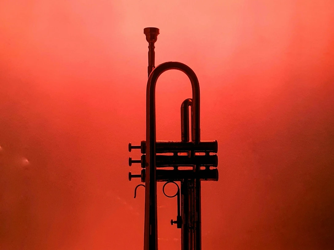 bad-driburg_trompete_pexels.jpg Trompete in deiner Vitrine.