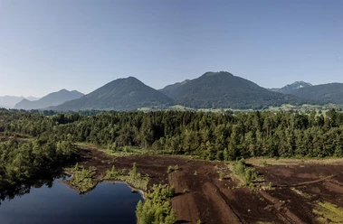 Moorerlebnis-Sterntaler-Filze-Bad-Aibling-Moorabbau-Gebiet-Panorama.jpg