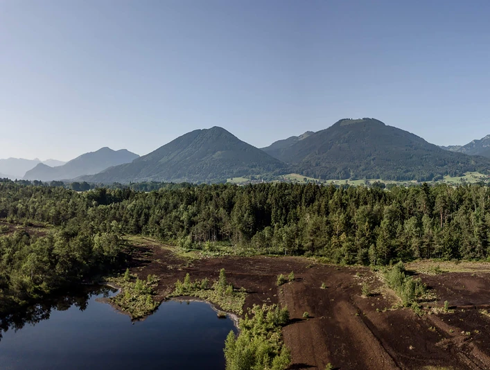 Moorerlebnis-Sterntaler-Filze-Bad-Aibling-Moorabbau-Gebiet-Panorama.jpg