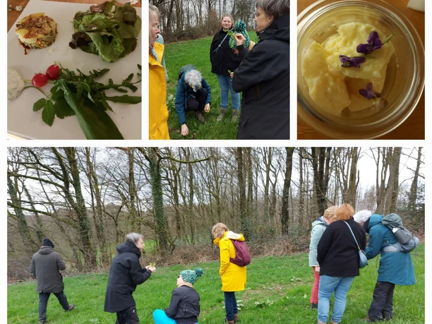 Kräuterspaziergang Menschen wandern über eine grüne Wiese, gefolgt von einem Picknick mit Salat und einem Dessert im Glas.
