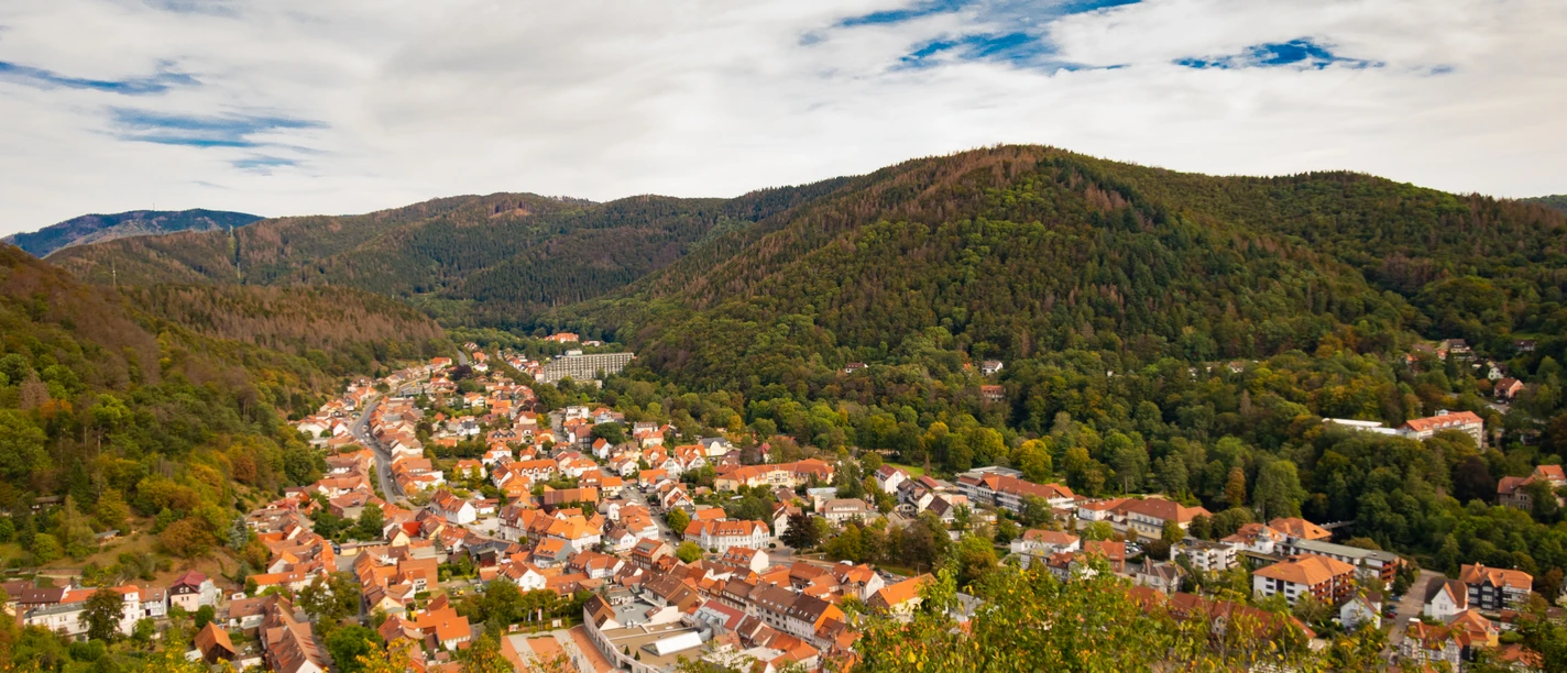 Bad Lauterberg-Luftaufnahme.jpg