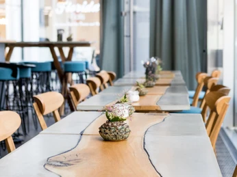 Neobiota Langgezogene Holztafeln mit dekorativen Pflanzgefäßen in einem modernen Café; stilvolle Hängelampen von der Decke.Long wooden panels with decorative planters in a modern café; stylish hanging lamps from the ceiling.
