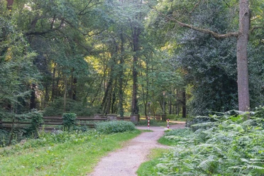 WTM008_Siebenstern_im_Klosterwald_AnjaPoker_4.jpg