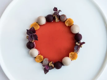 ox&klee Ein kunstvoll angerichtetes Dessert bestehend aus roten Beeren und weißen Kugeln auf roter Sauce.An artfully arranged dessert consisting of red berries and white balls on a red sauce.