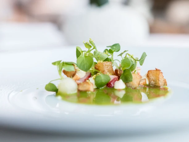 ox&klee Fein angerichtetes Gericht mit frischen Kräutern und buntem Gemüse auf einem weißen Teller.