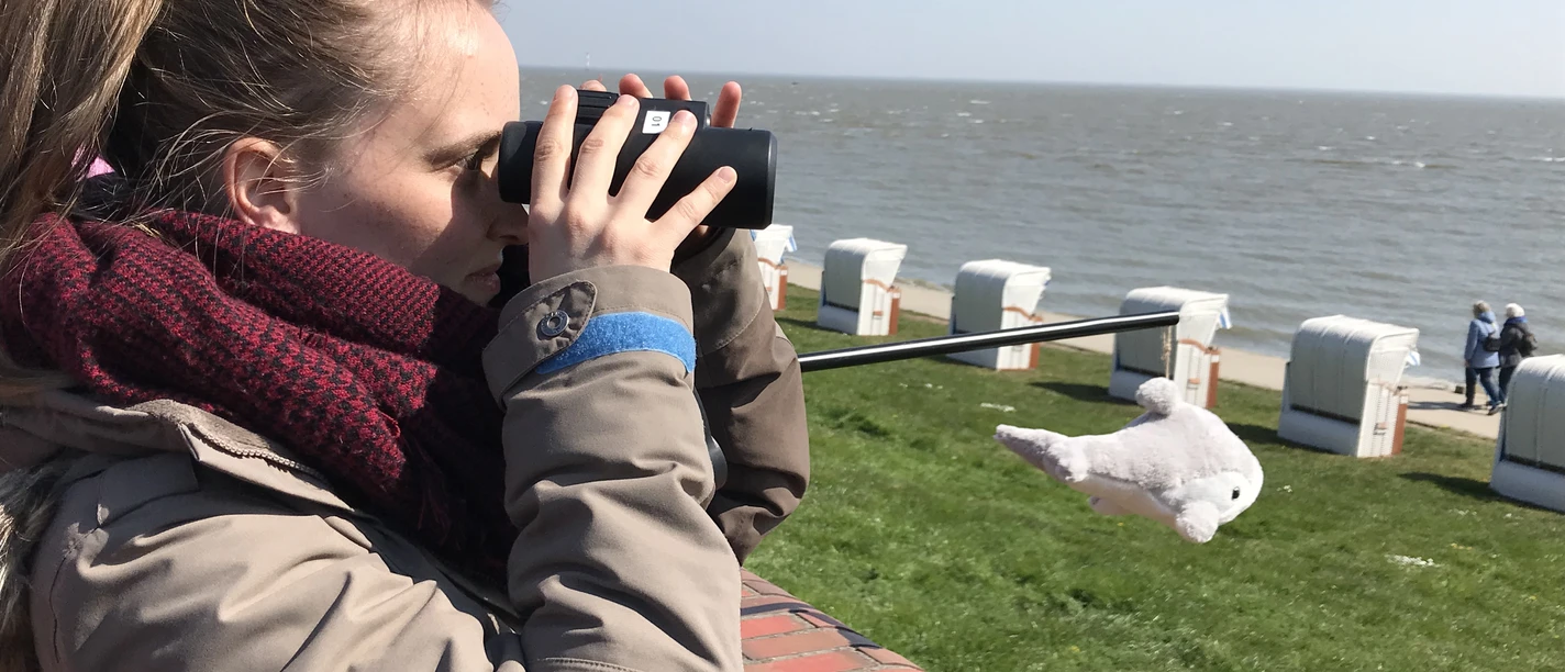 Schweinswal-Watching Südstrand.jpg