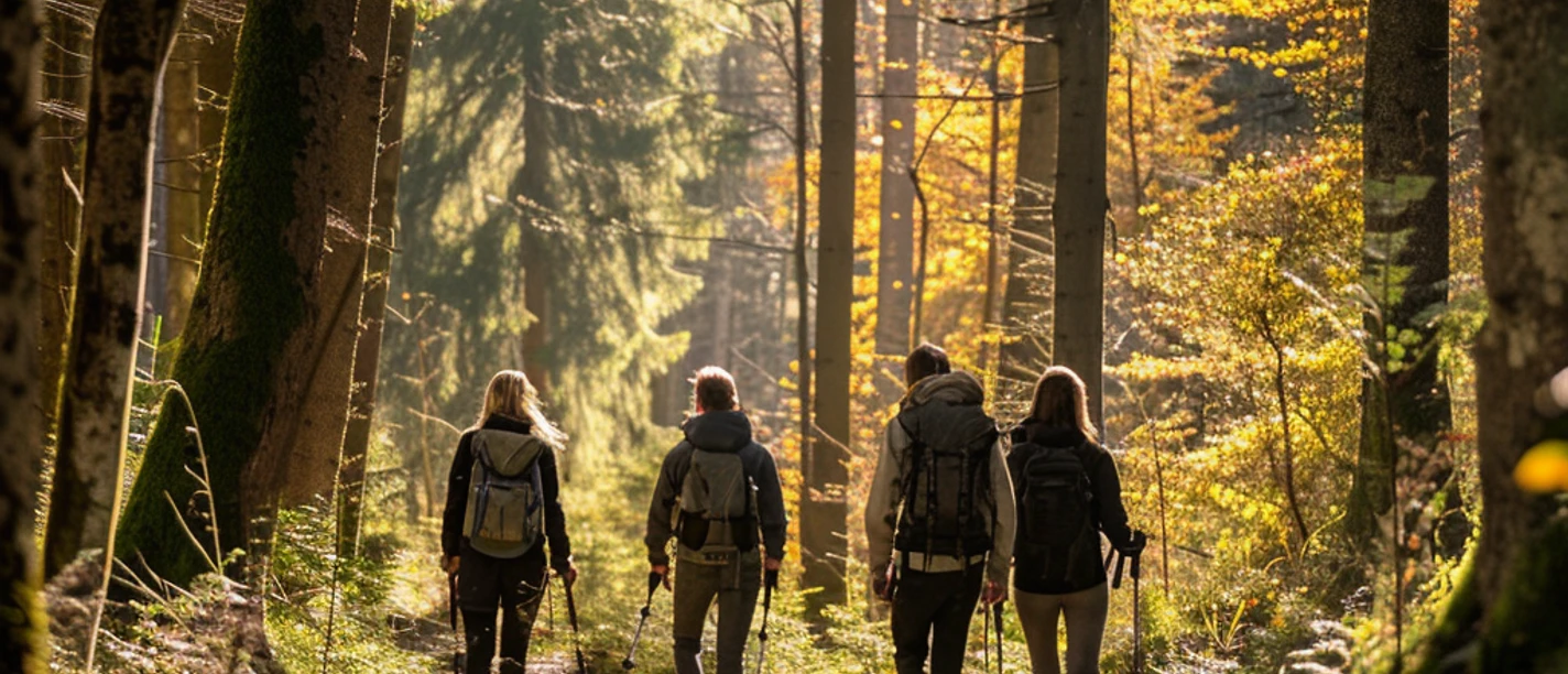 hikers Vier Personen die im Wald einen Weg entlang wandern