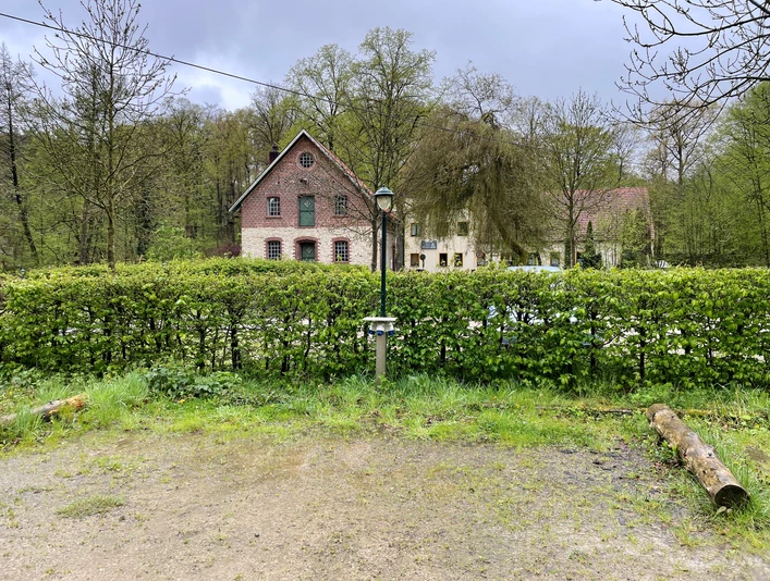 WoMo Knollmeyers Mühle_1.jpg