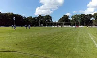 Sportplatz_an_der_Grundschule_Collinghorst Fußballfeld mit Spielern, umgeben von Bäumen unter einem leicht bewolkten Himmel.