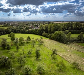 Blütenstadt Leichlingen Eine grüne Obstwiese in Leichlingen, umgeben von Hügeln und Wäldern, unter einem bewölkten Himmel.