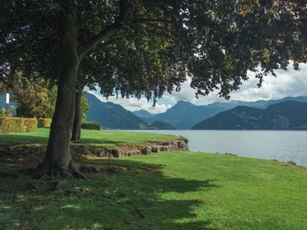 Quai Rachmaninoff Rachmaninoff QuaiRachmaninoff QuaiQuai Rachmaninoff