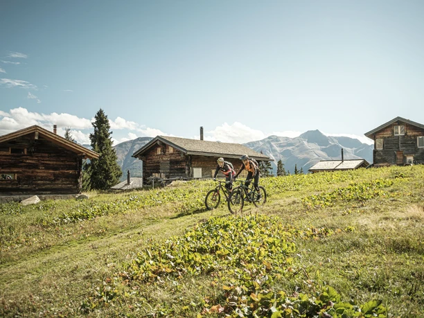 Mountainbike in der Aletsch Arena - Fiescheralp-Fiesch