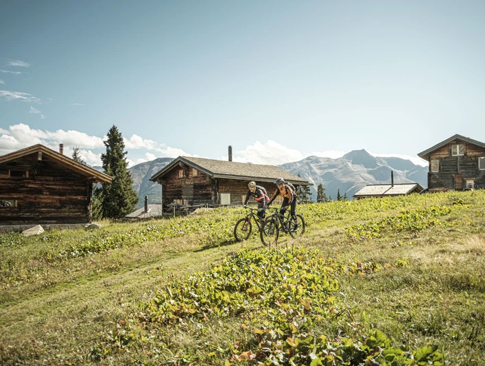Mountainbike in der Aletsch Arena - Fiescheralp-Fiesch