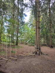 Lavt rebkursus i Hahnenklee