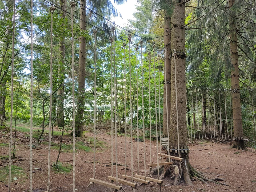 Lavt rebkursus i Hahnenklee Niederseilgarten in HahnenkleeLow ropes course in HahnenkleeLaag touwenparcours in HahnenkleeLavt rebkursus i Hahnenklee