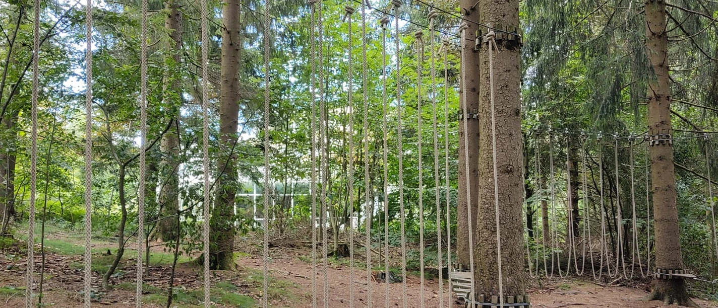 Low ropes course in Hahnenklee Low ropes course in Hahnenklee