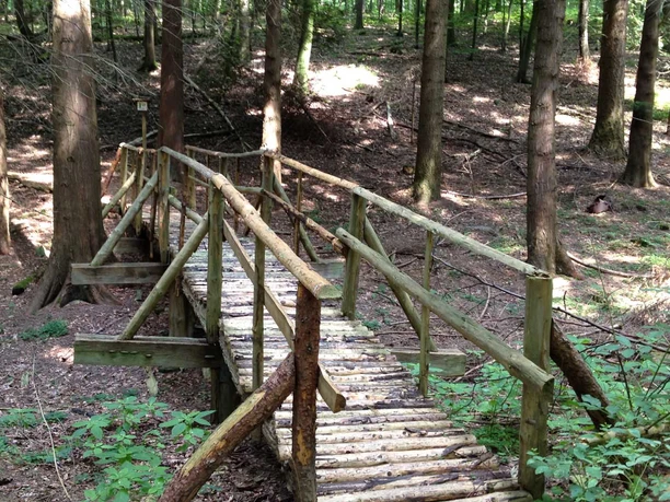 Walderlebnispfad | Niedernturdorf