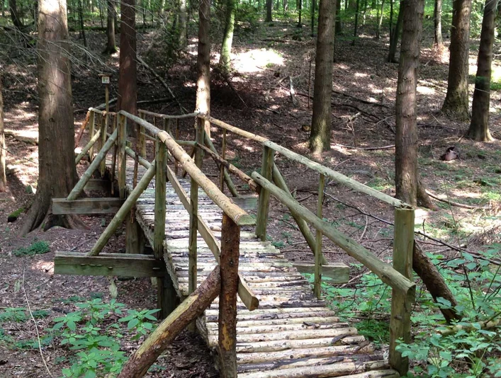 Walderlebnispfad | Niedernturdorf