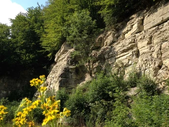 Kalk- und Karstlandschaft | Salzkotten-Niederntudorf Kalk- und Karstlandschaft | Salzkotten-Niederntudorf