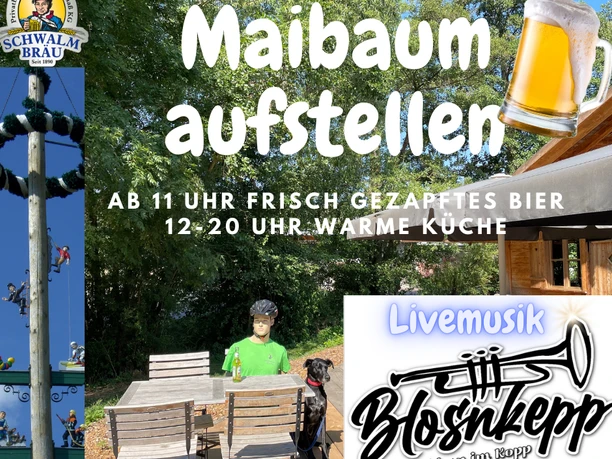 Maibaum aufstellen