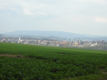 Weites Feld mit grünen Pflanzen im Vordergrund, dahinter ein Dorf und sanfte Hügel am Horizont.