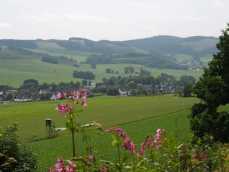 Ausblick auf Reiste Ausblick auf Reiste in der Ferienregion Eslohe
