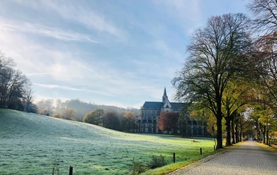 Klosterlandschaft Altenberg Kloster mit gotischer Fassade, umgeben von herbstlichen Bäumen und einer von morgendlichem Frost bedeckten Wiese.