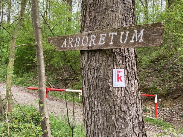 Arboretum Dalheim | Wegweiser