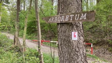 Arboretum Dalheim | Wegweiser Arboretum Dalheim | Wegweiser