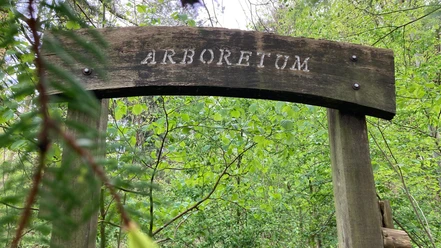 Arboretum Dalheim | Eingangsportal