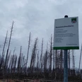 Ein Schild beschreibt eine Demonstrationsfläche mit kahlen, vertrockneten Baumstämmen im Hintergrund.