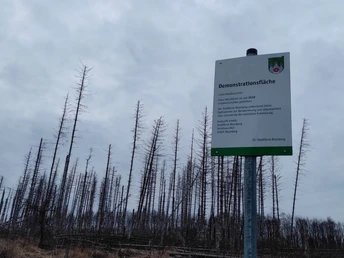 Ein Schild beschreibt eine Demonstrationsfläche mit kahlen, vertrockneten Baumstämmen im Hintergrund.