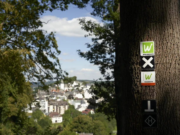 Wanderzeichen Arnsberg