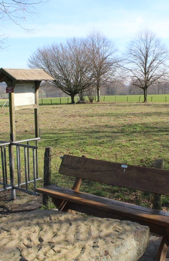 Stadt Rehburg-Loccum Kloster Asbeke Holzbank auf einer grünen Wiese nahe Rehburg-Loccum, umgeben von Bäumen und Feldlandschaft.