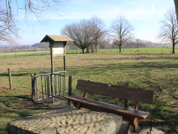 Stadt Rehburg-Loccum Kloster Asbeke Holzbank auf einer grünen Wiese nahe Rehburg-Loccum, umgeben von Bäumen und Feldlandschaft.