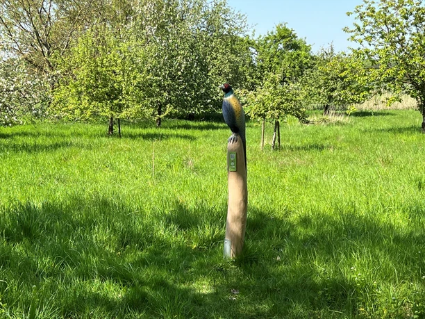 Fasan Ein detailgetreuer Fasan, dargestellt auf einem Holzpfahl inmitten einer grünen Wiese mit Bäumen.