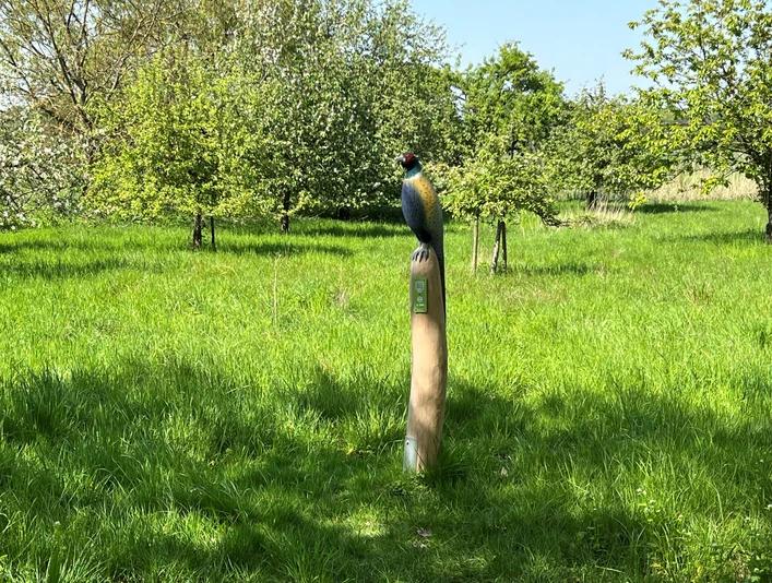 Fasan Ein detailgetreuer Fasan, dargestellt auf einem Holzpfahl inmitten einer grünen Wiese mit Bäumen.